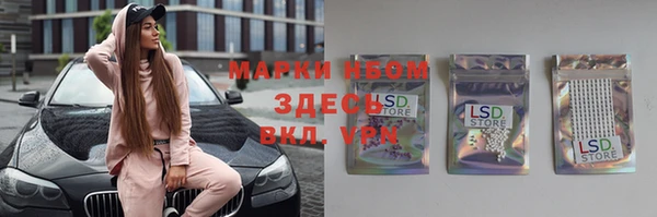 Альфа ПВП Верея