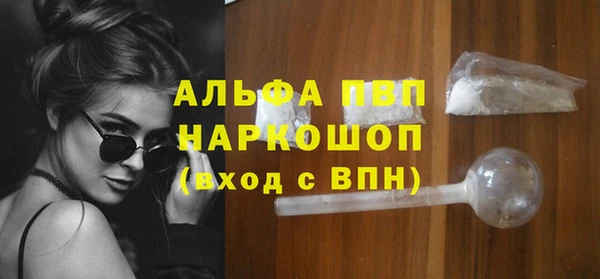индика Волосово