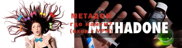 индика Волосово
