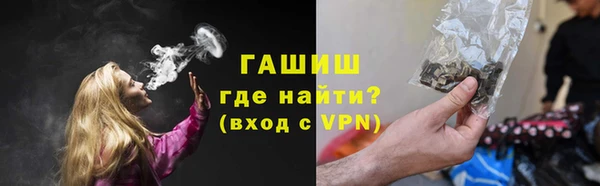 индика Волосово