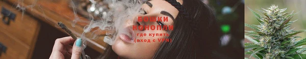 Альфа ПВП Верея
