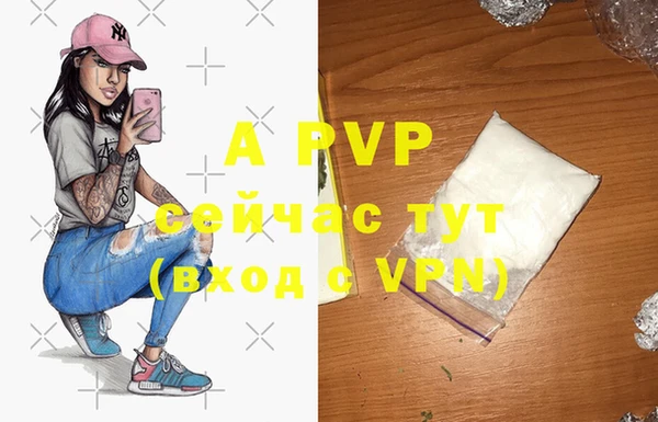 Альфа ПВП Верея