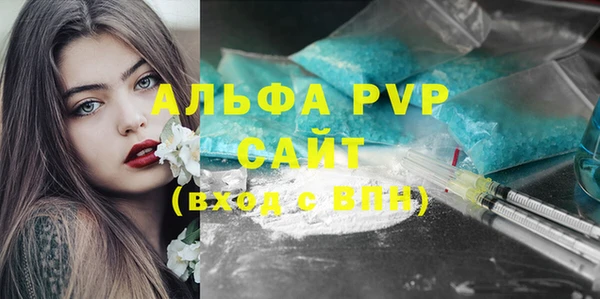 apvp Вяземский