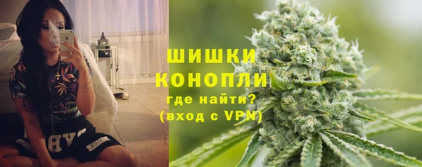 Альфа ПВП Верея