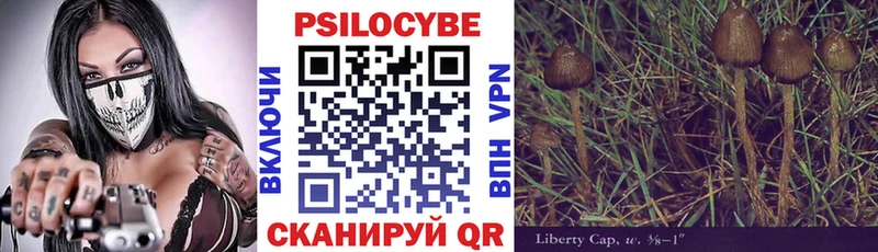 Псилоцибиновые грибы Cubensis  MEGA   Верея 